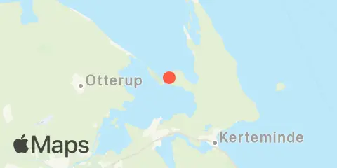 Odense Fjord, Gabet Location