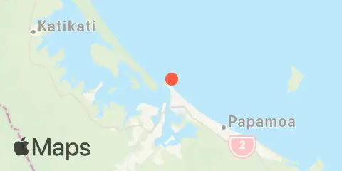 Moturiki Island Location