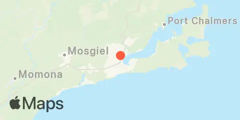 Dunedin Location