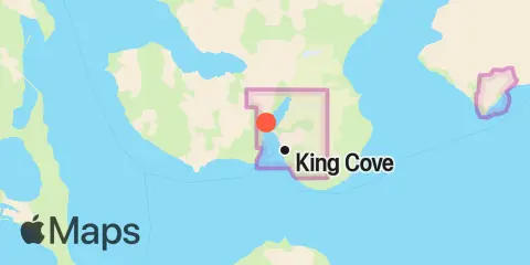King Cove Location