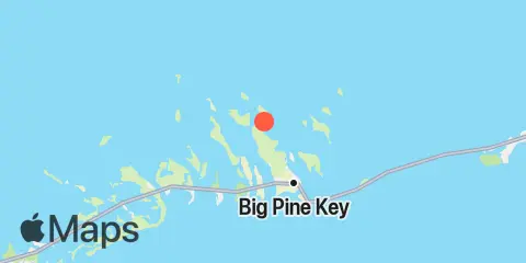 Big Pine Key, Northeast Shore Location